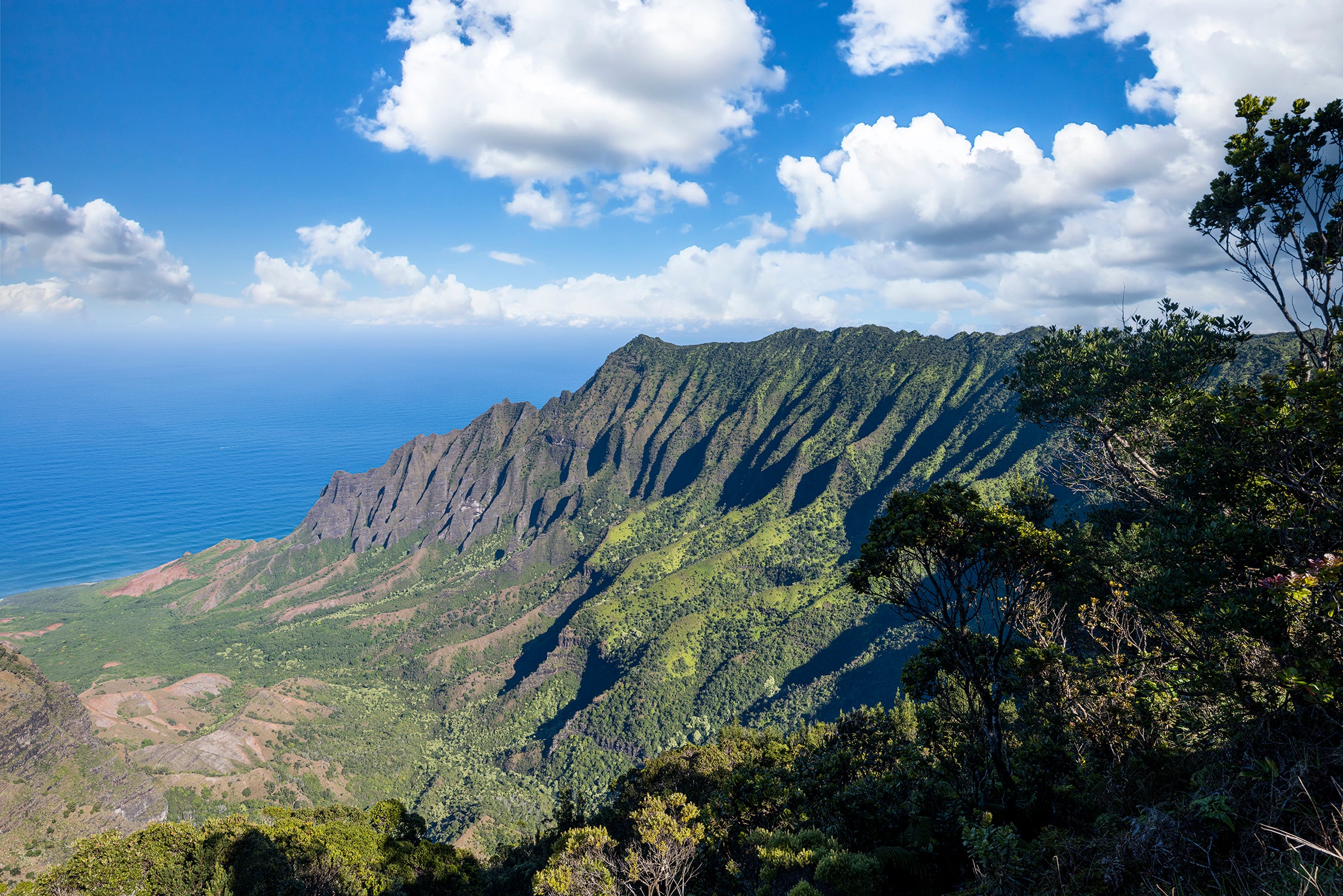 Big Valley Kauai North Shore