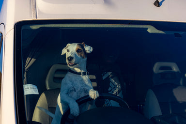 Driving the Caravan