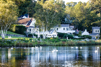 Essex North Cove Swans and Homes