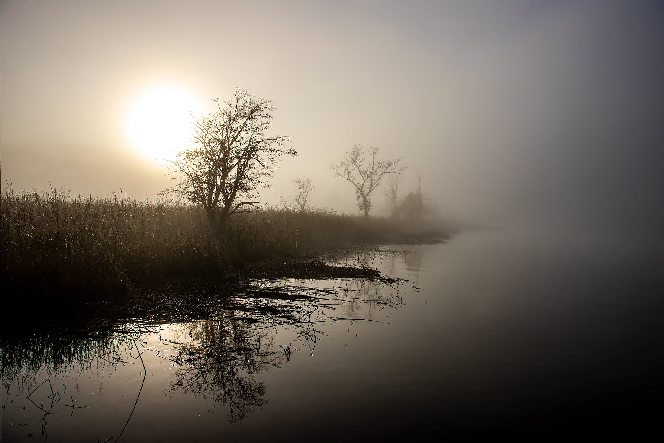 Fog at Mouth of Seldon Creek