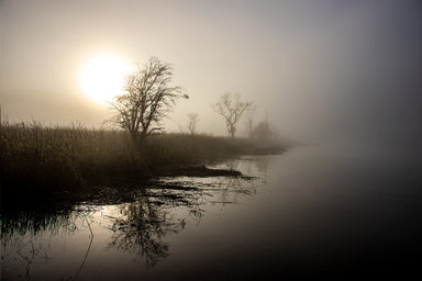 Fog at Mouth of Seldon Creek