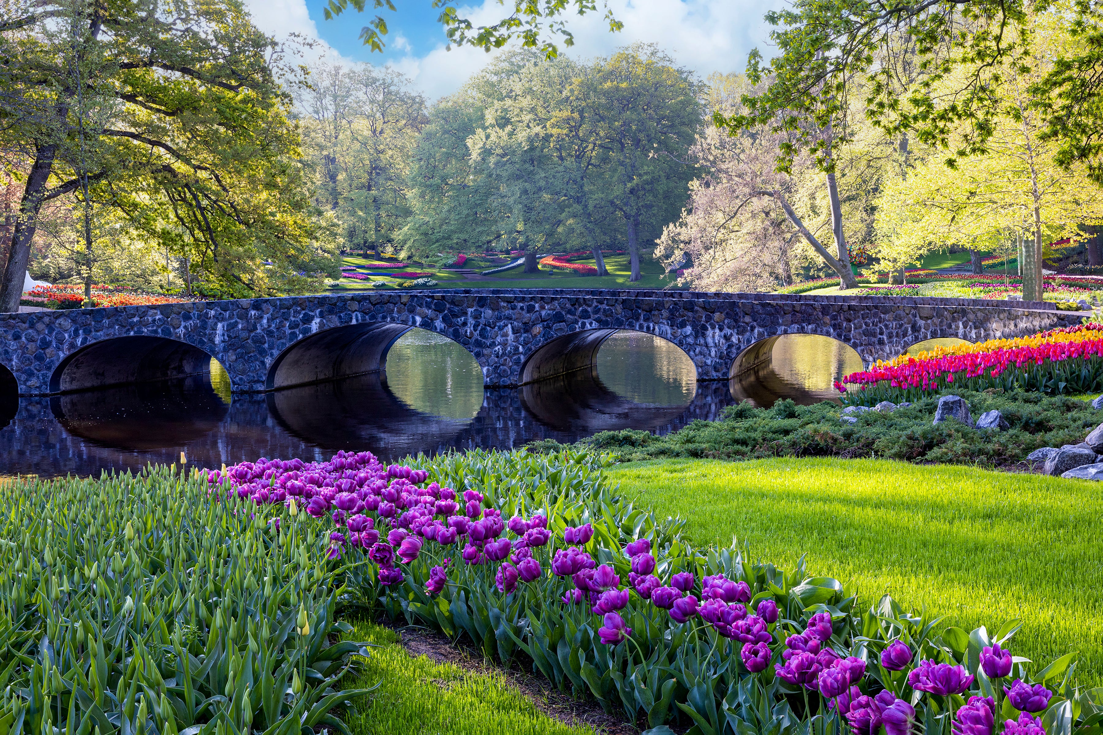 Keukenhof Gardens Bridge