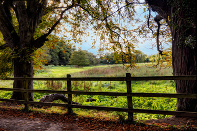 Meadow in Abbotts Ann