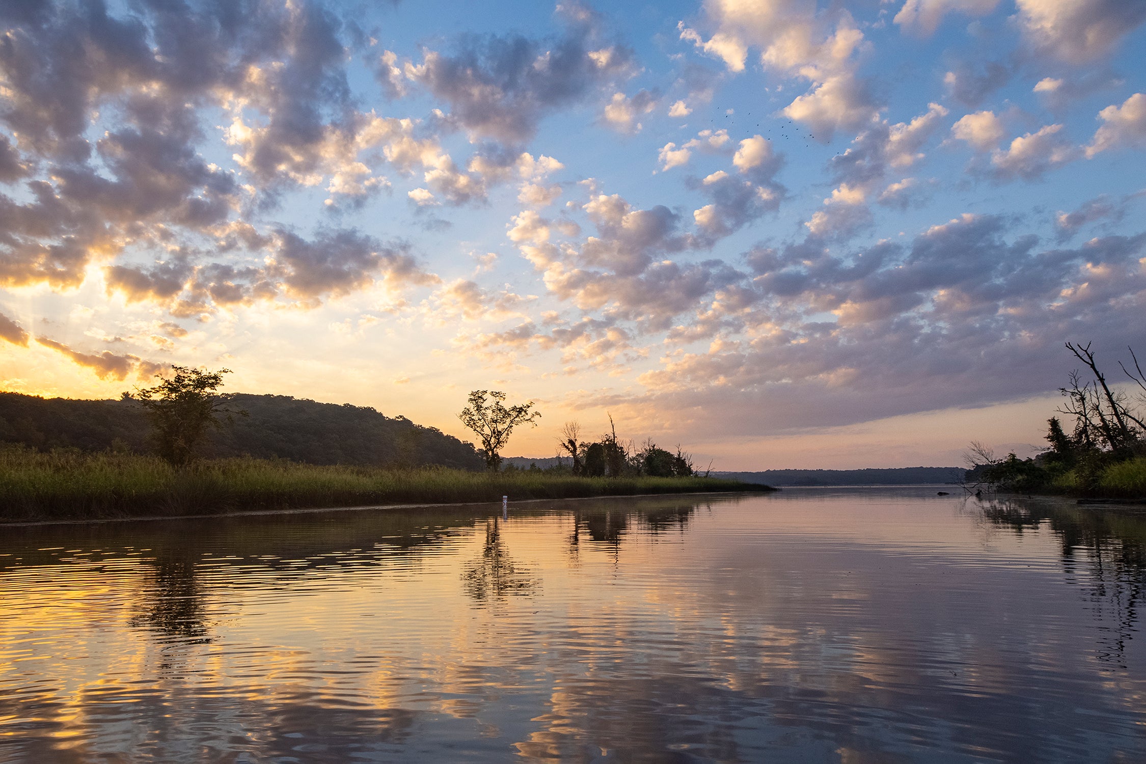 Mouth of Selden Creek at Dawn