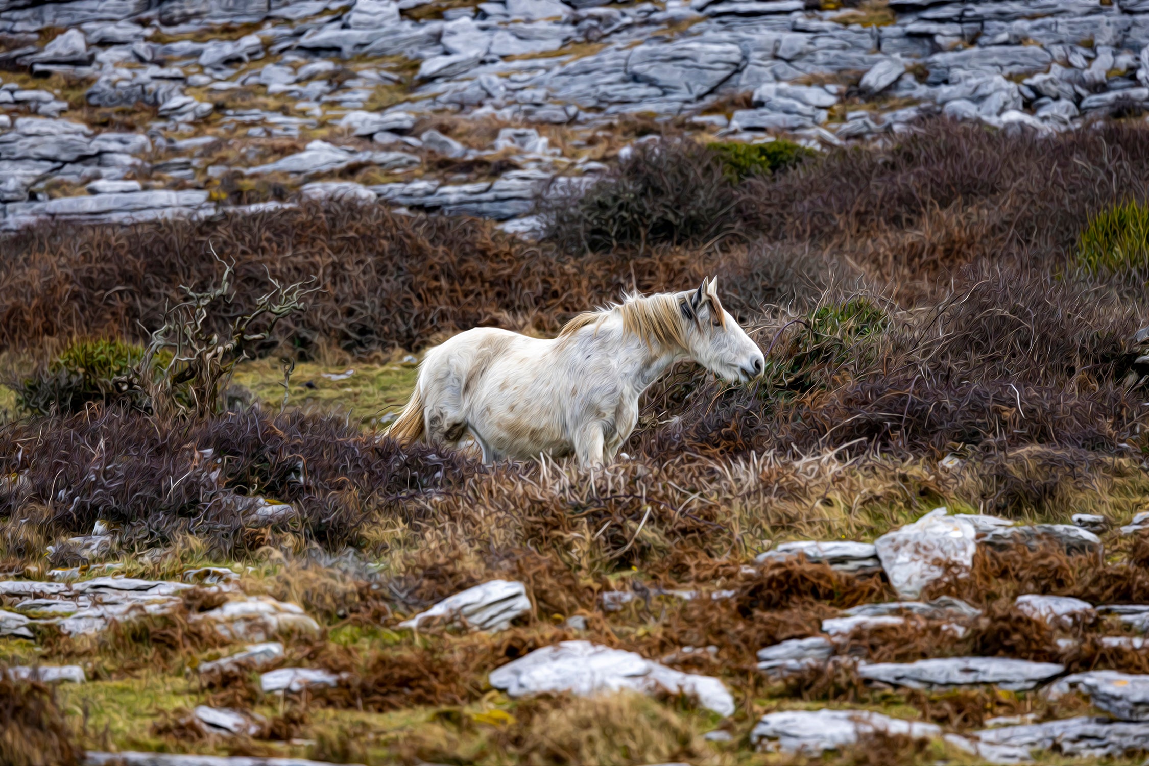 Oil Painting Wild Connemara