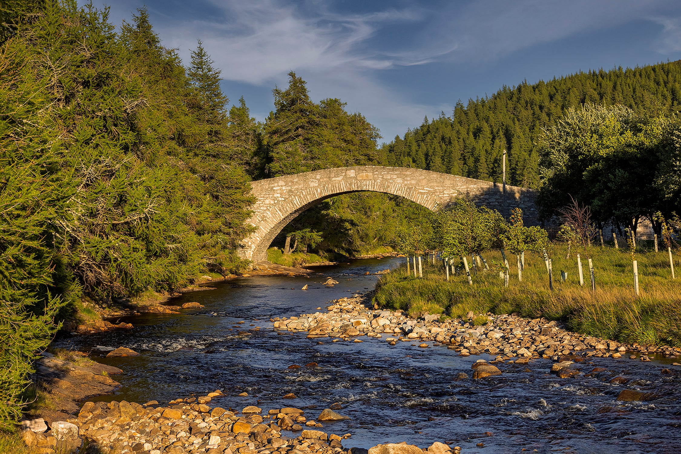 Princess Diana's Bridge