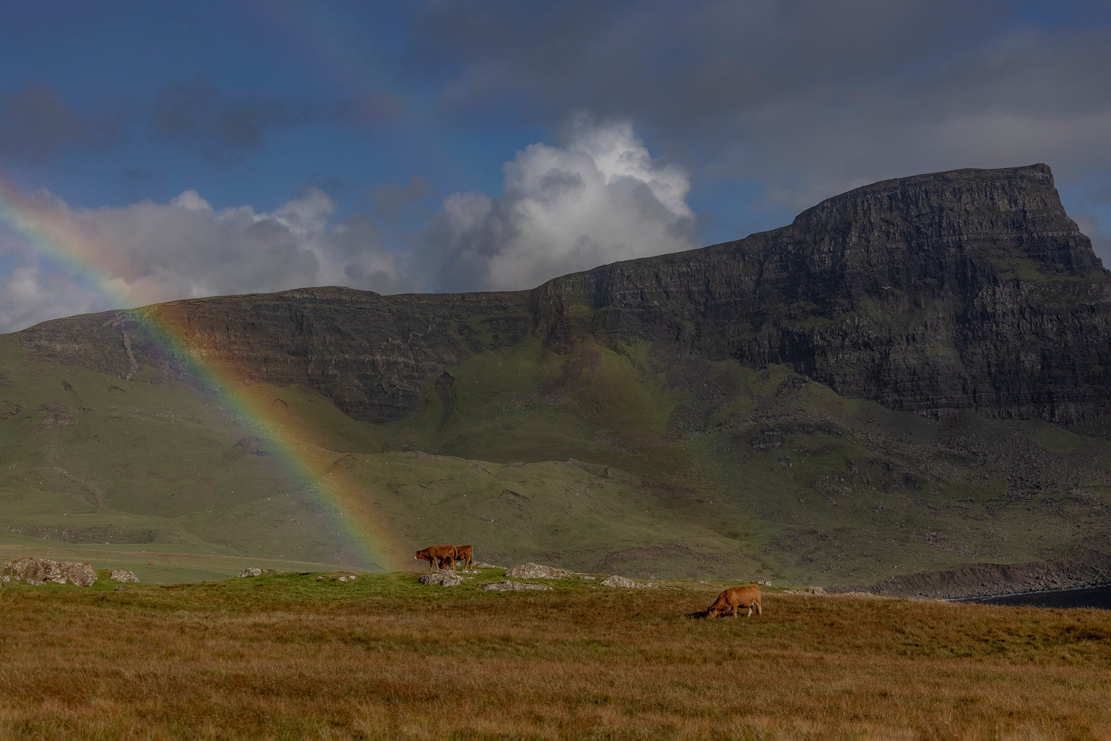 Rainbow over Neist Point