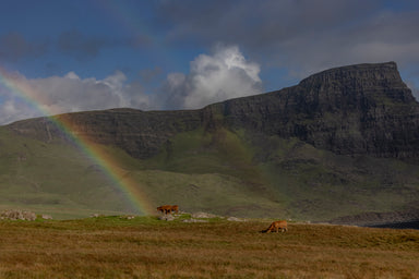 Rainbow over Neist Point