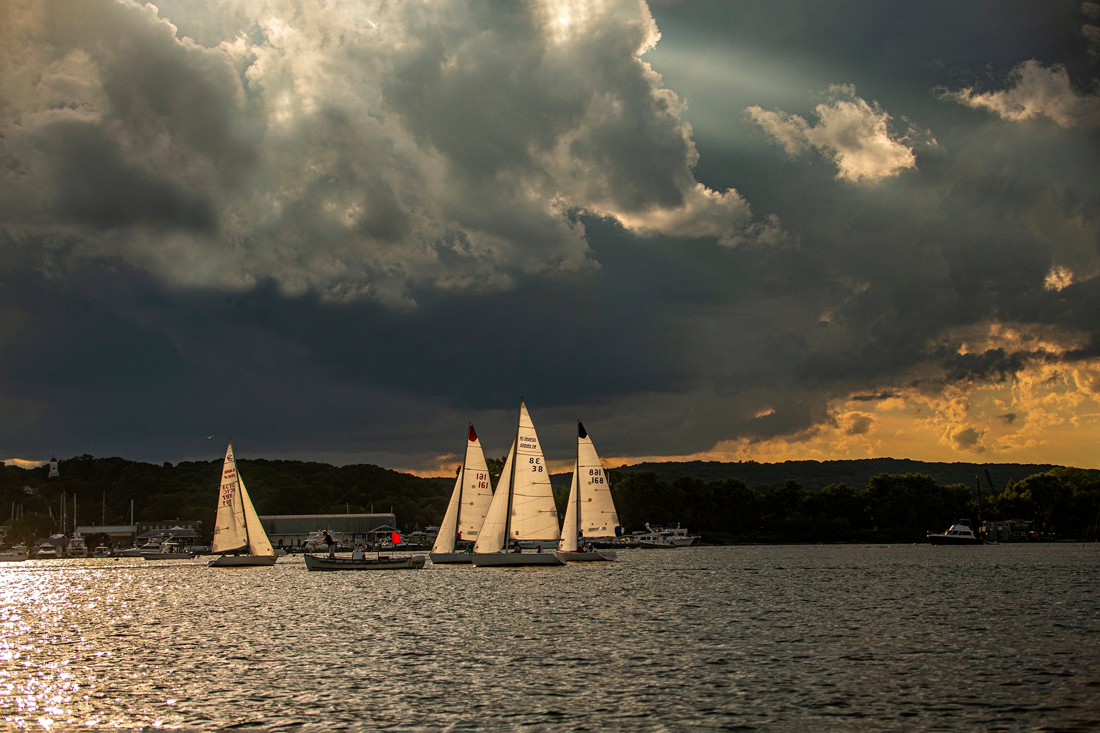 Sailing in the Ray