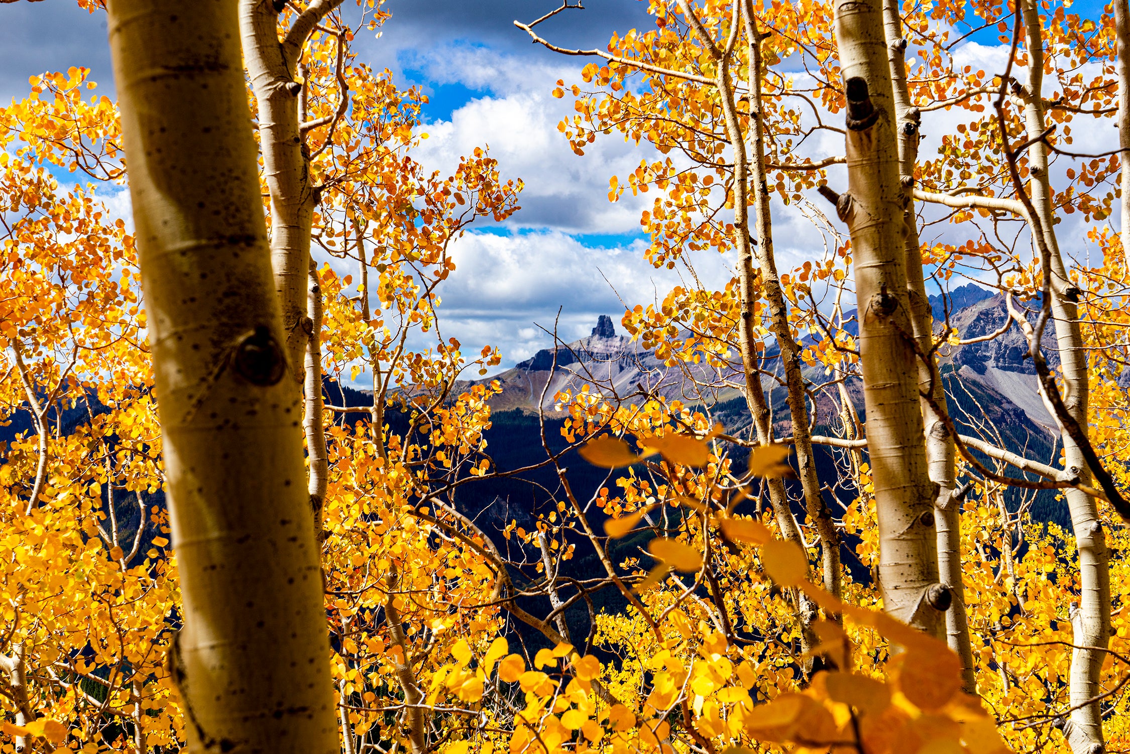 Telluride Lizard's Head Pass