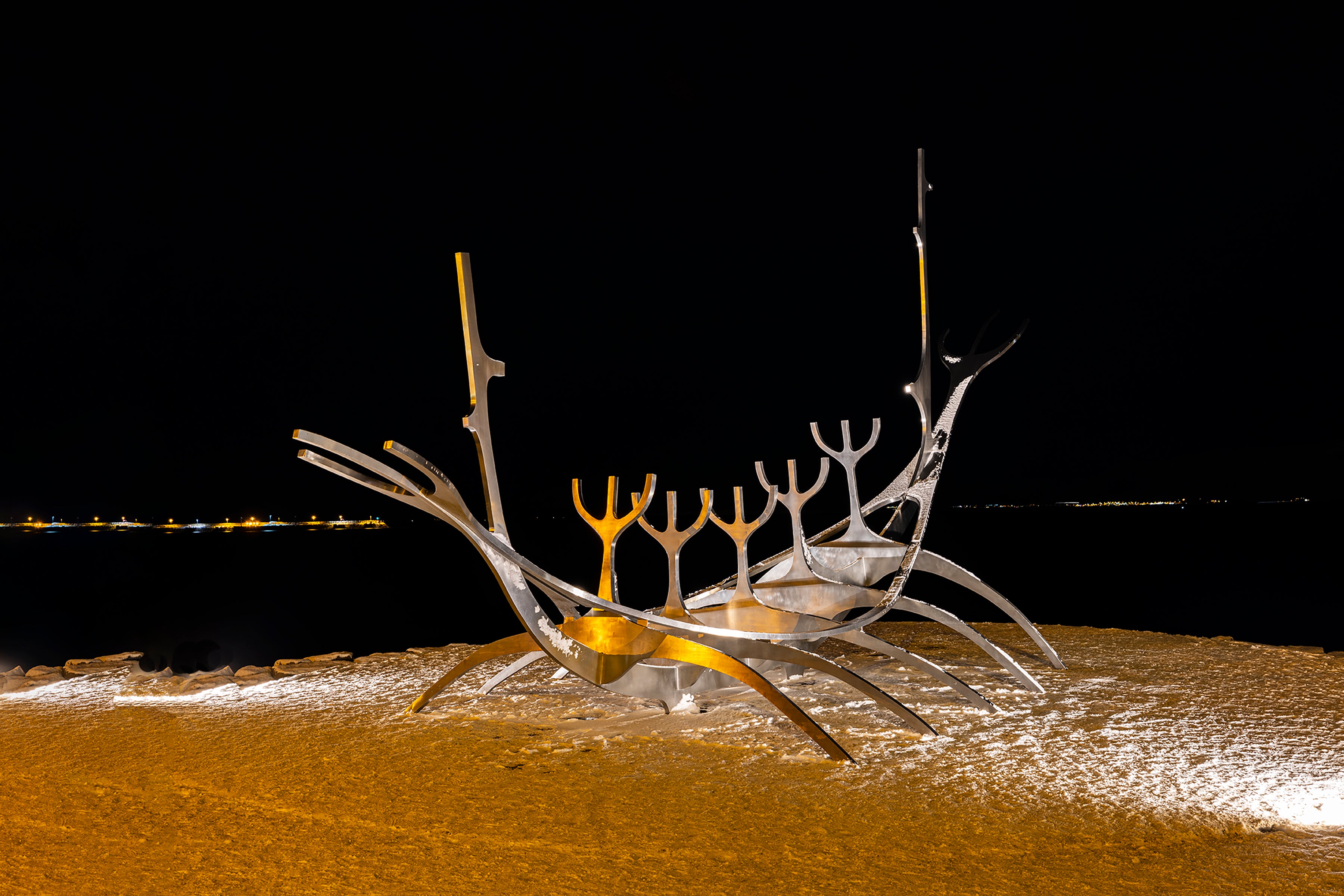 The Sun Voyager by John Arnason