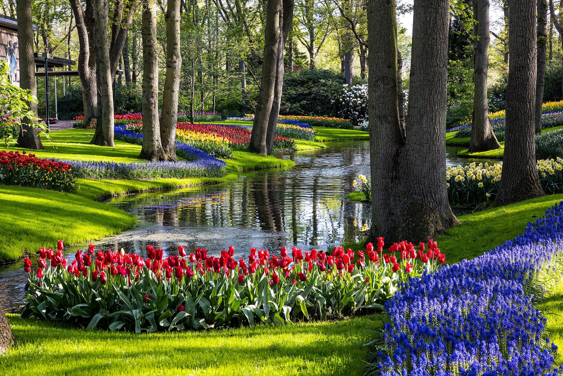 Floral-Photography-Art