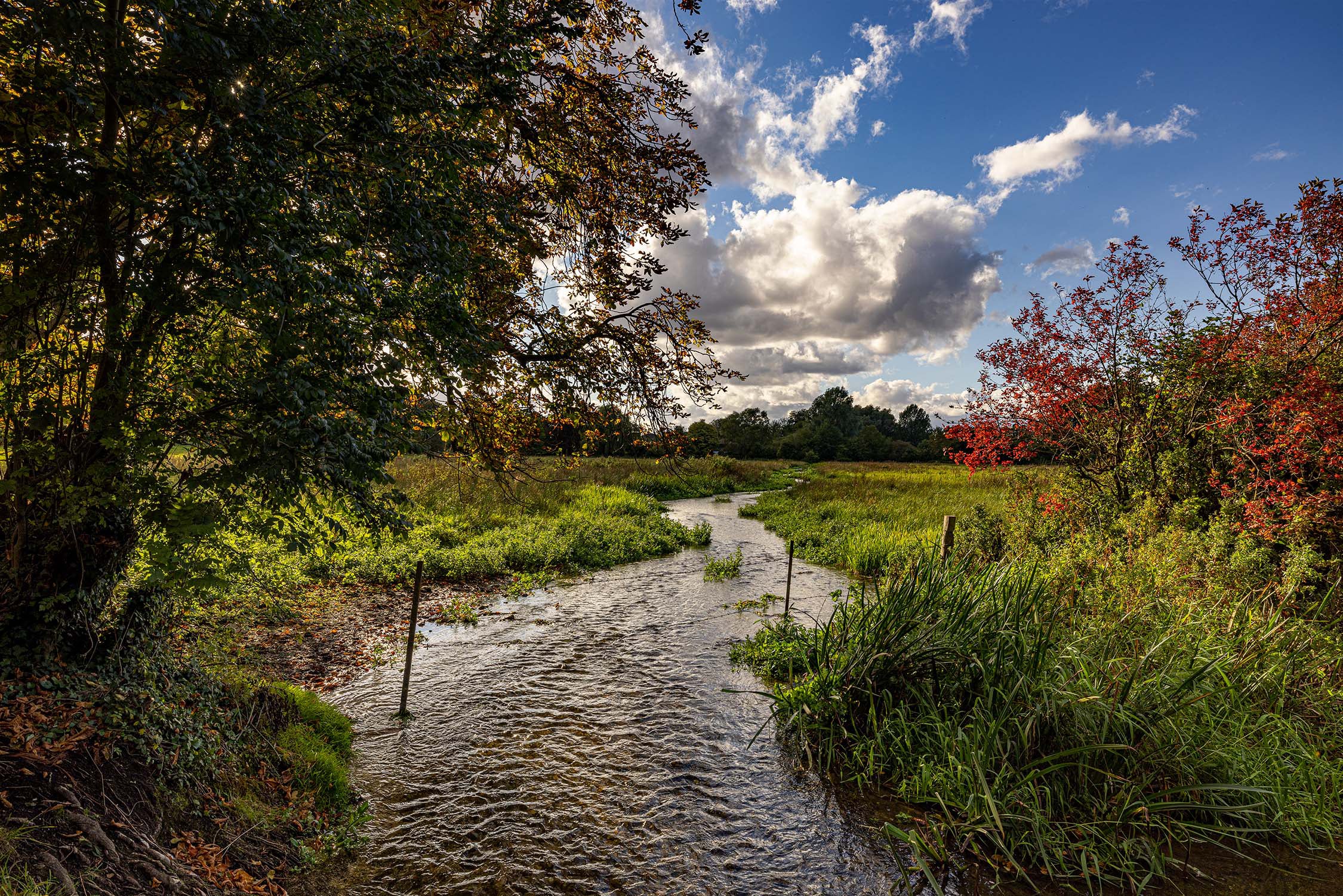 River Ann in Abbotts Ann - Willo & Felix Fine Art