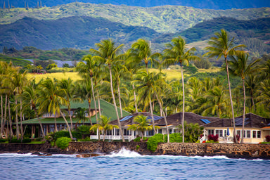 Hawaiin Village