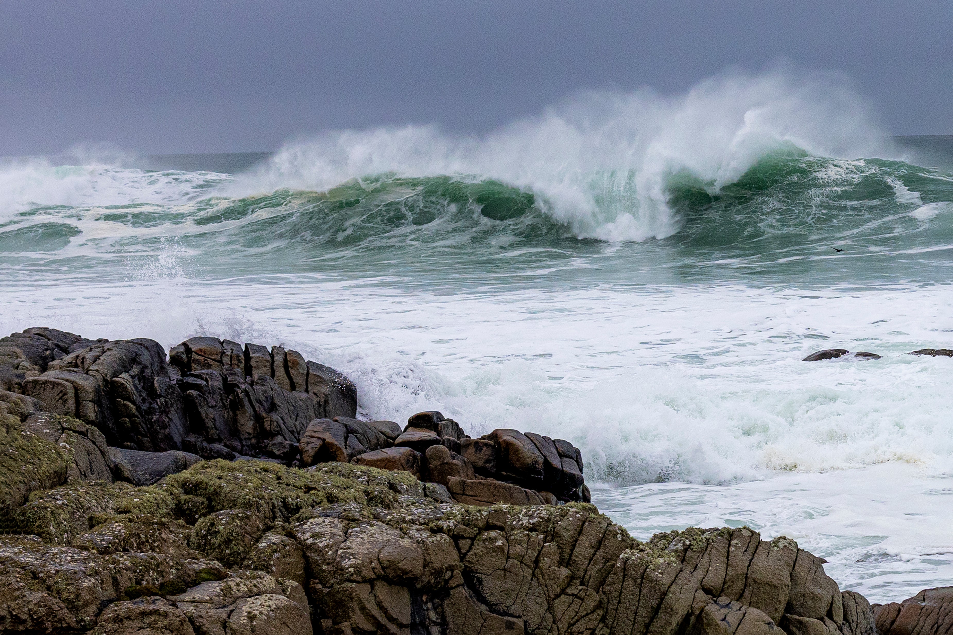 Large Wave Irish Coast Photographic Print Best for Home's Decor - Willo ...
