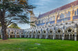 Salisbury Cathedral Garden and Cloisters